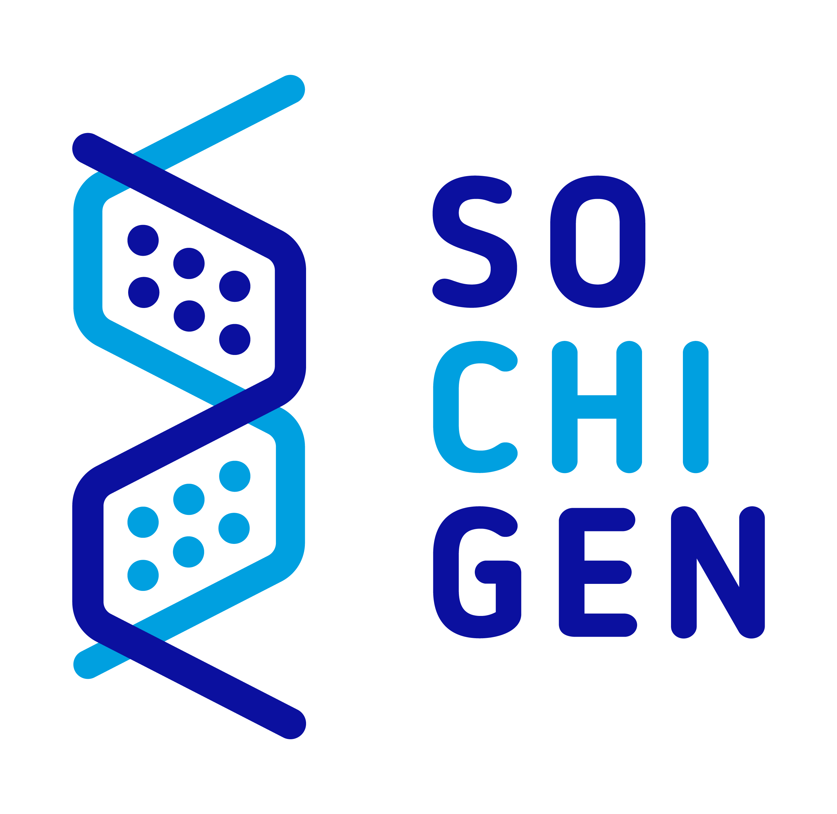 Nuevo Logo Sochigen